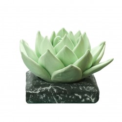 3D Succulents Beautiful flower mold fondant mould chocolate mousse cak