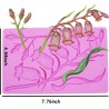 lily of valley floral flower pattern valley Reusable Silicone Mold