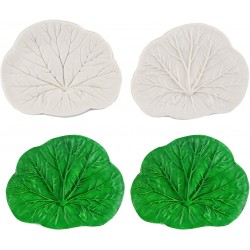 2 pcs Leaf pattern emboss and deboss Reusable Silicone Mold
